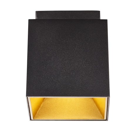 Lampa sufitowa Ethan NO2110400103 - Nordlux